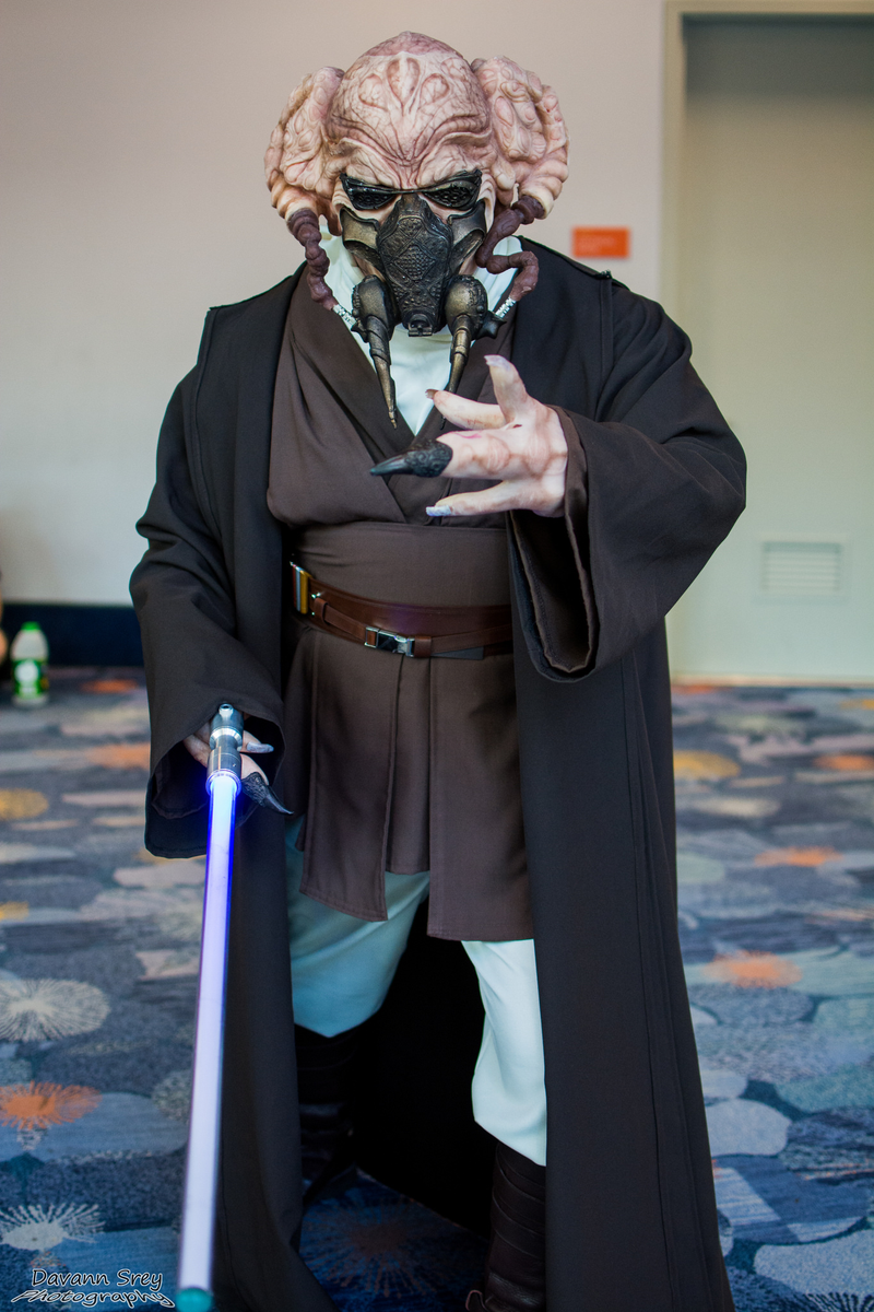 Illustration for article titled The Most Incredible Cosplay From This Weekend's Star Wars Celebration!